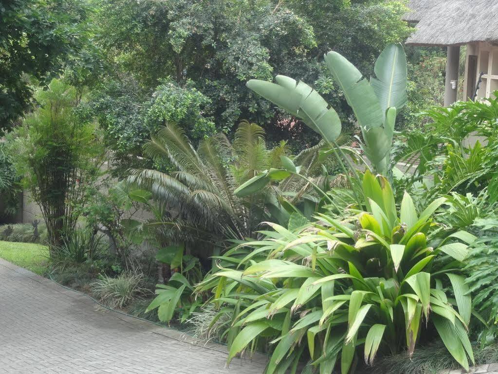 נלספרויט Mariu Upmarket Accommodation מראה חיצוני תמונה